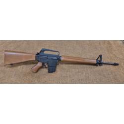 Carabine AP74 cal 22lr top état