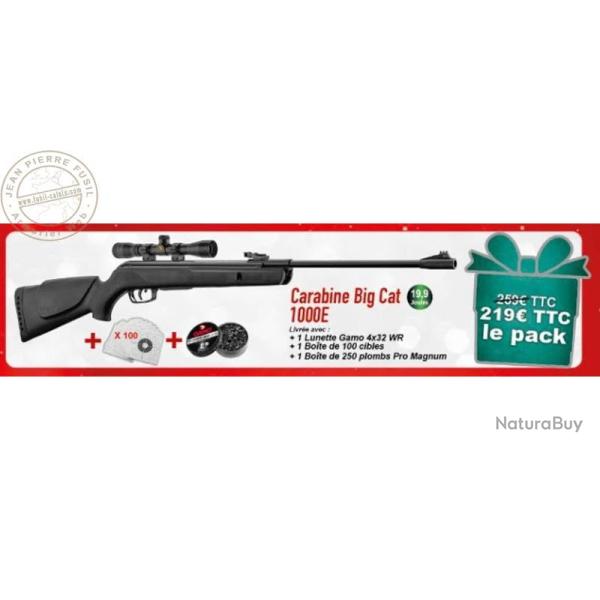 Pack carabine  plombs 4,5 mm GAMO Big Cat 1000E (19,9 Joules) - PACK NOEL 2025