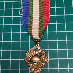 M&Eacute;DAILLE UNION NATIONALE DES COMBATTANTS