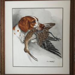 Épagneul breton tenant un coulis par la gueule.Jean HERBLET ,1893-1985.Aquarelle et encre,1959.