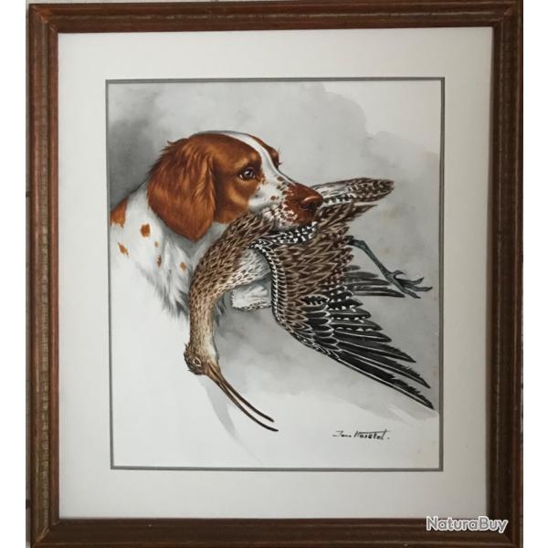 �pagneul breton tenant un coulis par la gueule.Jean HERBLET ,1893-1985.Aquarelle et encre,1959.