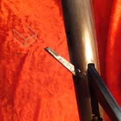 Tr&egrave;s Rare canne fusil &agrave; percussion (capsule fulminate)