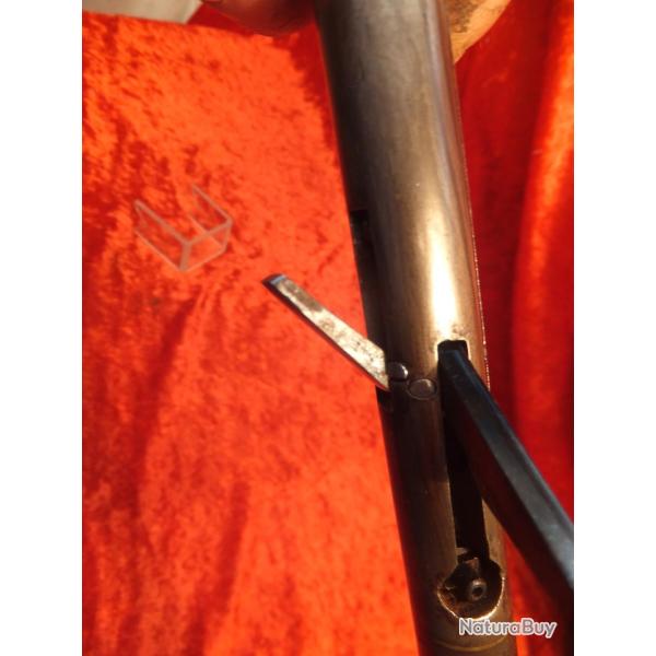 Tr�s Rare canne fusil � percussion (capsule fulminate)