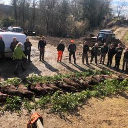 chasse a la journée