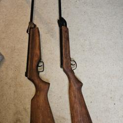 Lot carabines a plomb