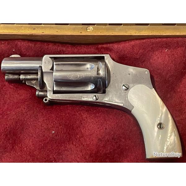 BEAU VLODOG CHROM A 100 % , PLAQUETTES NACRE SANS ACCIDENT