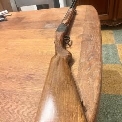 Superbe falco superposé