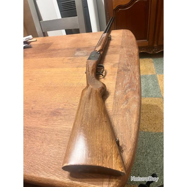 Superbe falco superpos