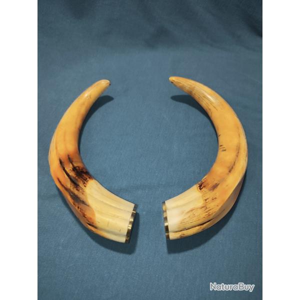 D�FENSES DE PHACOCH�RE