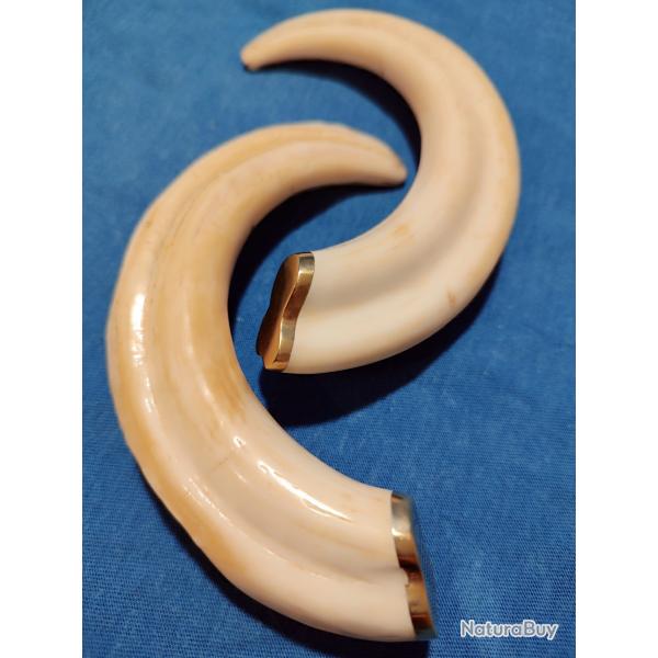 D�FENSES DE PHACOCH�RE III