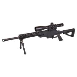 Carabine TLD RS1 Commando 2.0 Cal 308 Win