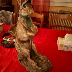 Petit lapin chasseur empaillé