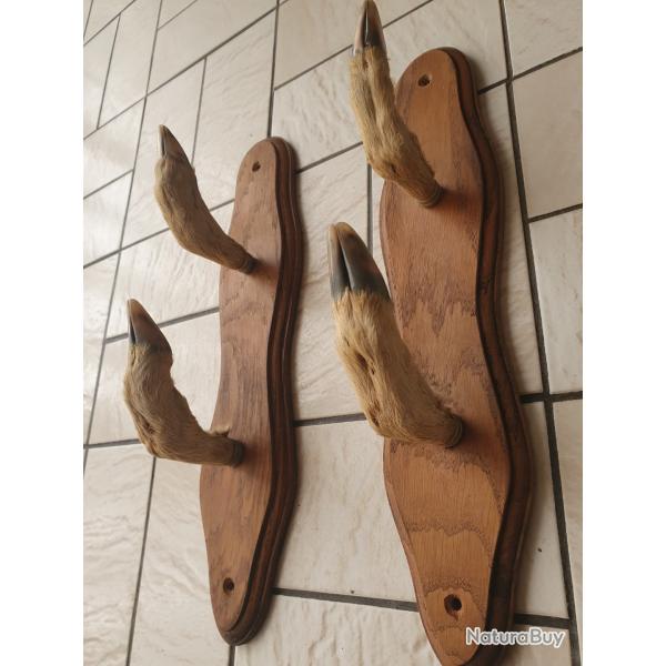 Porte-fusils pattes de chevreuil