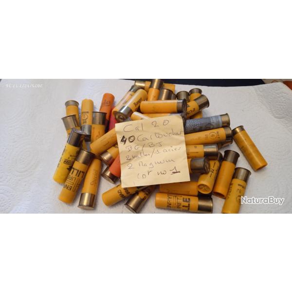 Lot cartouches cal 20