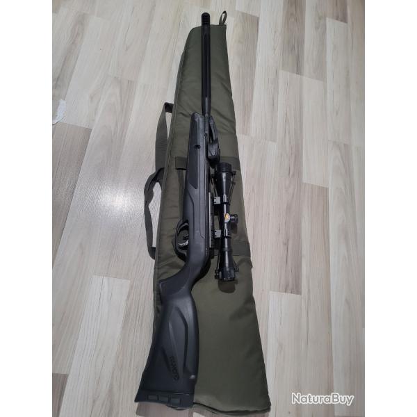 Carabine a plombs gamo