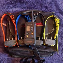 Num'axes canicom 1500