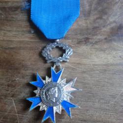 m&eacute;daille ordre national du m&eacute;rite