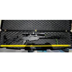 Carabine 22LR ruger precision rimfire