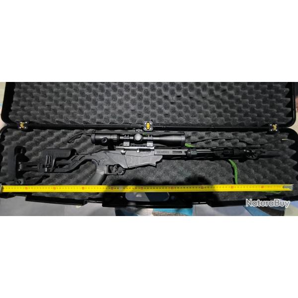 Carabine 22LR ruger precision rimfire