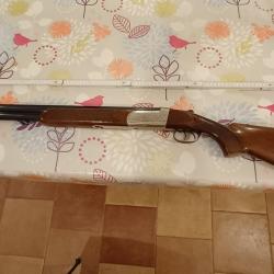 vends Verney Caron Sagittaire 12/70