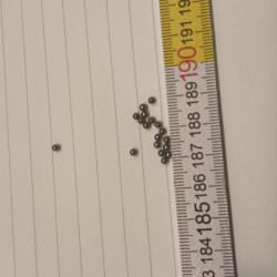 0,5 l de plombs de 2mm de diamètre, soit environ 3,5kg