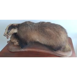 BLAIREAU & LAPIN SUR SOCLE BOIS