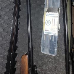 Carabine a plomb gamo Hunter 440 as