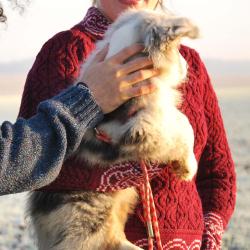 Pull tunique Femme jacquard irlandais maille intarsia pure laine m&eacute;rinos chaude L (large) rouge gren