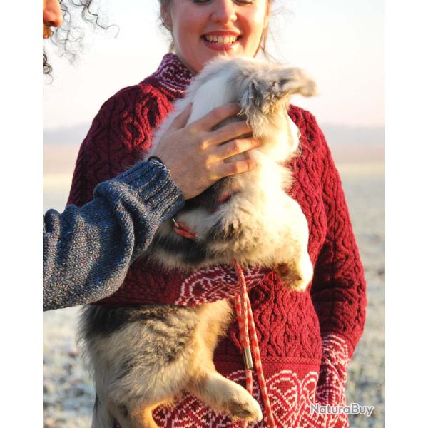 Pull tunique Femme jacquard irlandais maille intarsia pure laine m�rinos chaude L (large) rouge gren