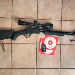 Carabine Rossi 22lr + lunette