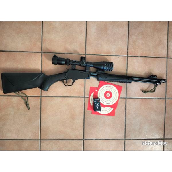 Carabine Rossi 22lr + lunette