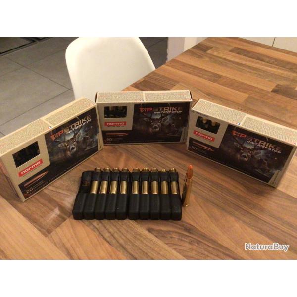 Balles NORMA TIPSTRIKE en 9,3x62