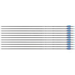 Flèche Avalon Tyro 4.2 en carbone (nouvelles) 29" 900 1 plume rouge 2 plumes bleues