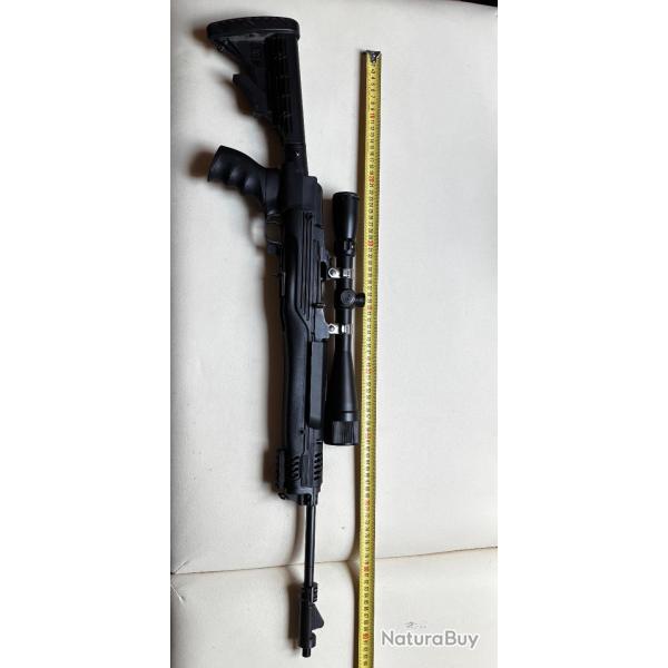 Ruger mini 14 / cal .222 / cat C