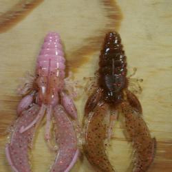 EDITION LIMITEE!! WESTIN CRECRAW 6.5CM x6 - LIVE SHRIMP