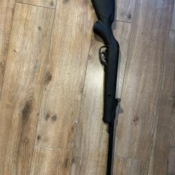 carabine a plomb Gamo Delta
