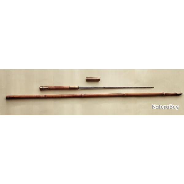 canne pe de dfense  et de marche.