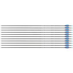 Flèche Avalon Tyro 4.2 en carbone (nouvelles) 900 29" 1 plume rouge 2 plumes bleues