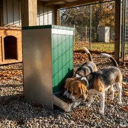 Mangeoire &agrave; tr&eacute;mie Smart pour chiens 15 kg