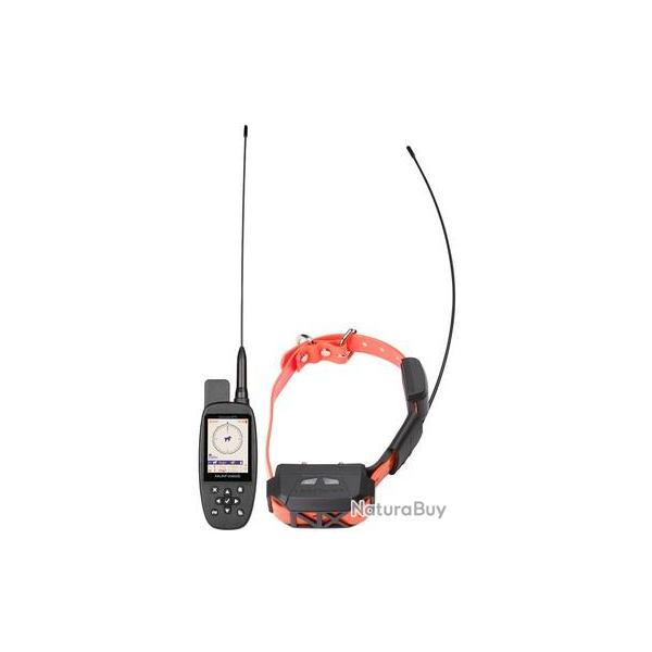 Pack collier de rep�rage & de dressage Num'axes canicom GPS mini