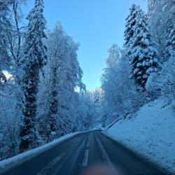 Recherche Action/Part de chasse petit et gros gibier