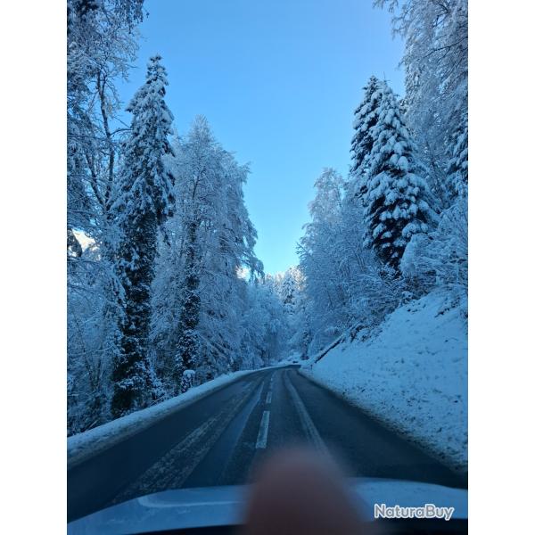 Recherche Action/Part de chasse petit et gros gibier