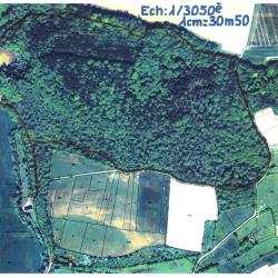 37,9103 ha - FORÊT DE FÉFU - ( 59 ) NORD