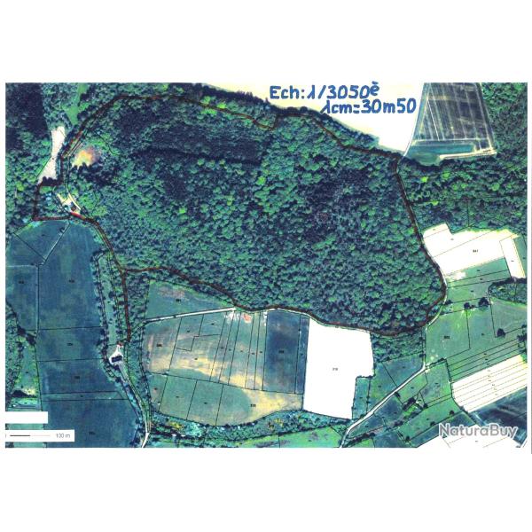 37,9103 ha - FOR�T DE F�FU - ( 59 ) NORD