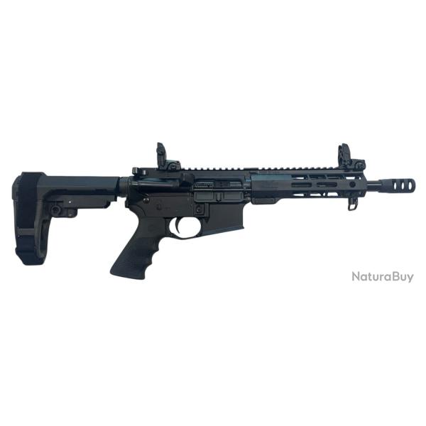 Promo - Windham Carabine WW-15 450 Bushmaster 9'