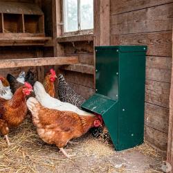 Mangeoire tr&eacute;mie galvanis&eacute;e verte anti gaspillage 7 kg