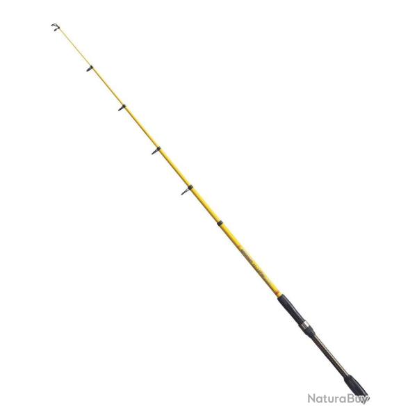 ARCA CANNE TRUITE COMPACT T�L� SPIN 2M40 ARCA