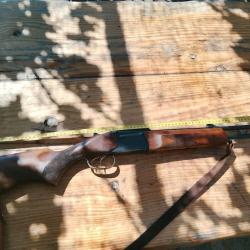 Baïkal express 9.3 x 74r