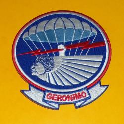 INSIGNE TISSU DE LA 501 eme REGIMENT DE PARACHUTISTE BATAILLON DE LA 101 eme AIRBORNE DIVISION AEROP