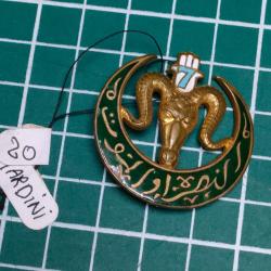 INSIGNE 7eme REGIMENT DE TIRAILLEURS ALGERIENS, 7EME RTA DRAGO PARIS (1) éclat